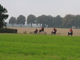 img_5952_web